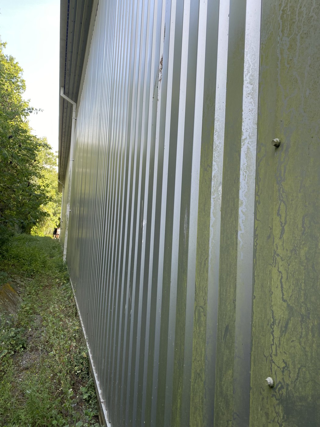 Algae washed off a clad elevation — before